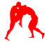 Program Images
